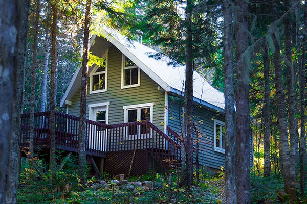 Chalet dans les bois