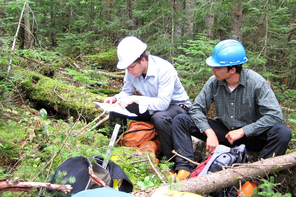 Deux étudiants dans la forêt qui font un inventaire forestier.