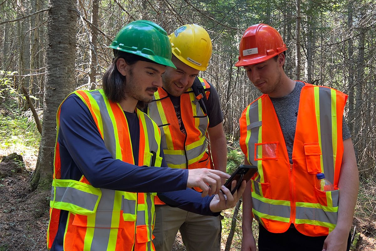 Trois étudiants en forêt avec dossards et casque de sécurité regardant un téléphone.