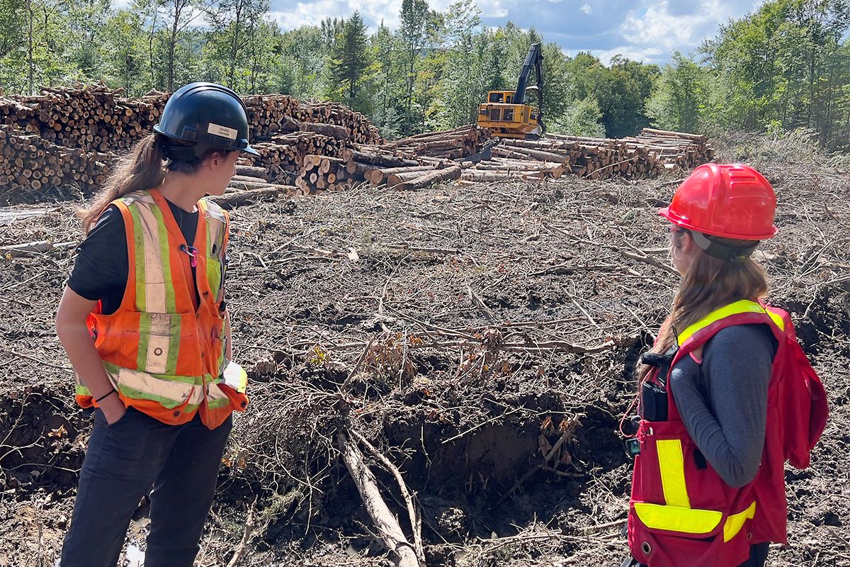 Deux étudiantes avec dossard et casque de sécurité de dos sur un zone de coupe forestière