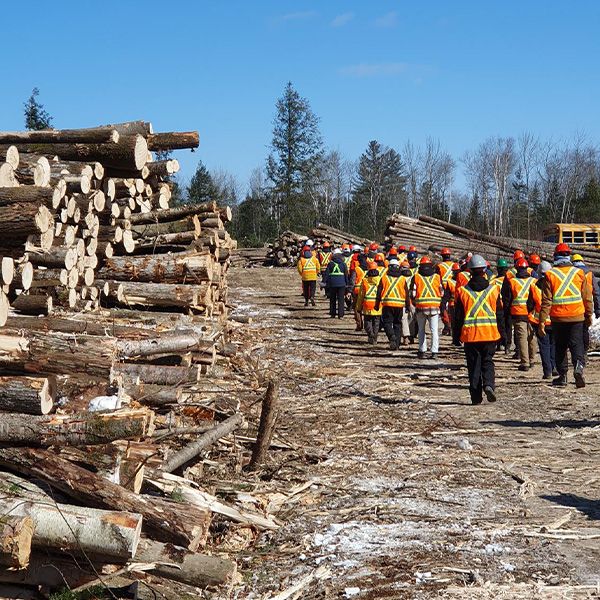 Groupe d'étudiantes et étudiants dehors se dirigeant vers la forêt