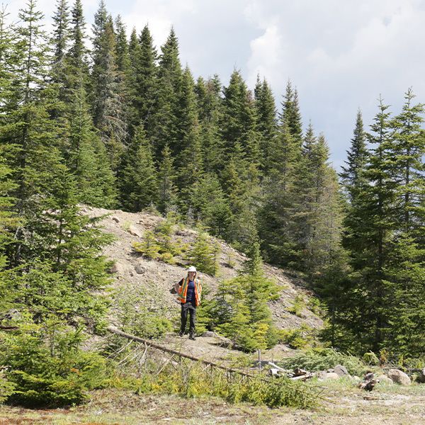 Femme avec casque vue de loin près d'une colline à l'orée de la forêt