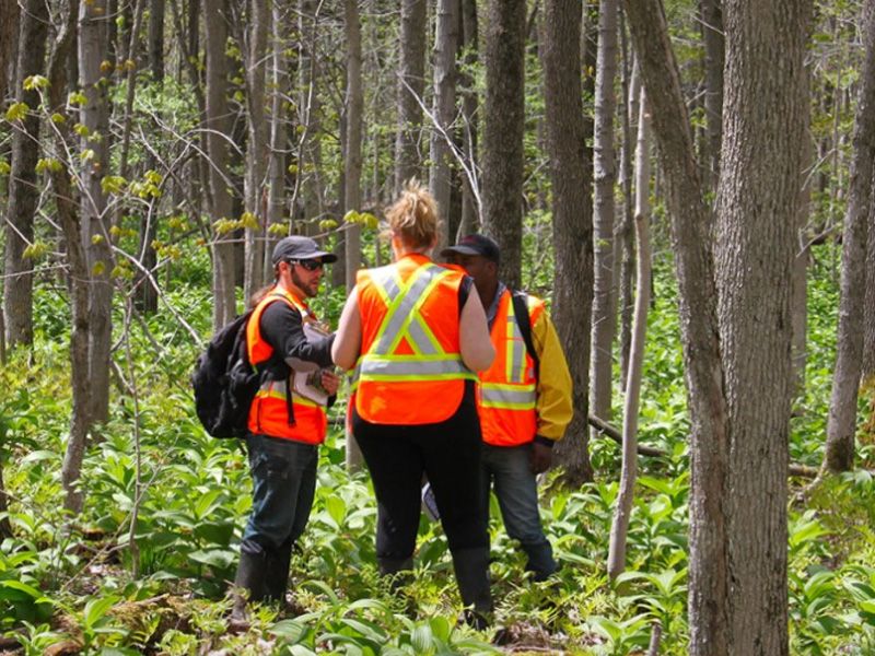 Trois personnes en forêt