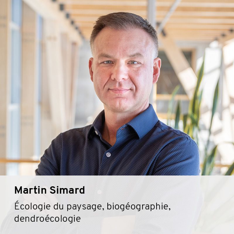 Martin Simard