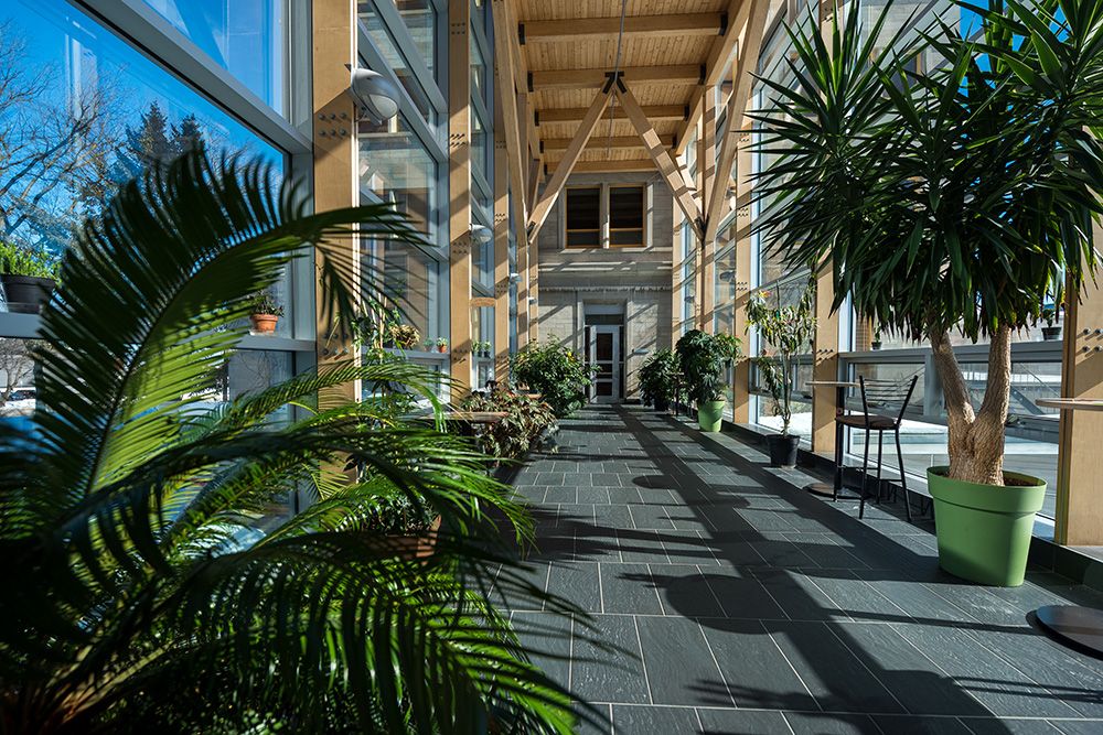 Jardin de Colette