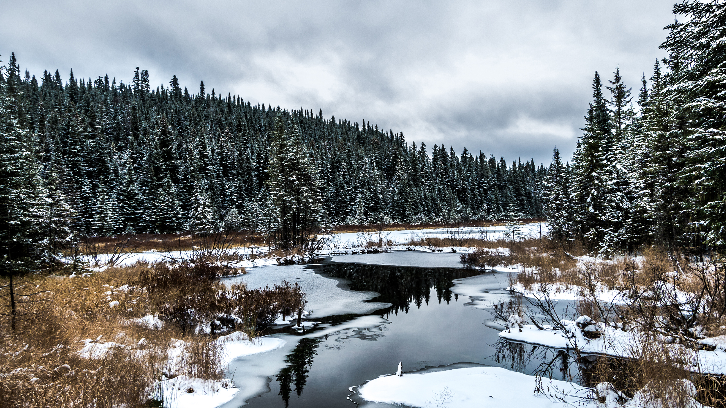 Paysage d'hiver de la Forêt Montmorency
