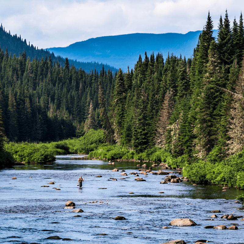 Personne pêchant dans une rivière