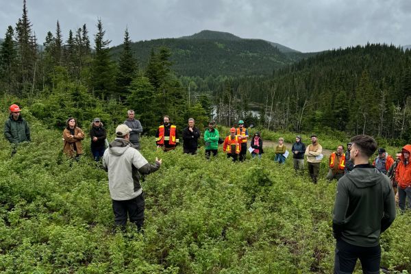 Des ingénieurs forestiers en formation à la Forêt Montmorency