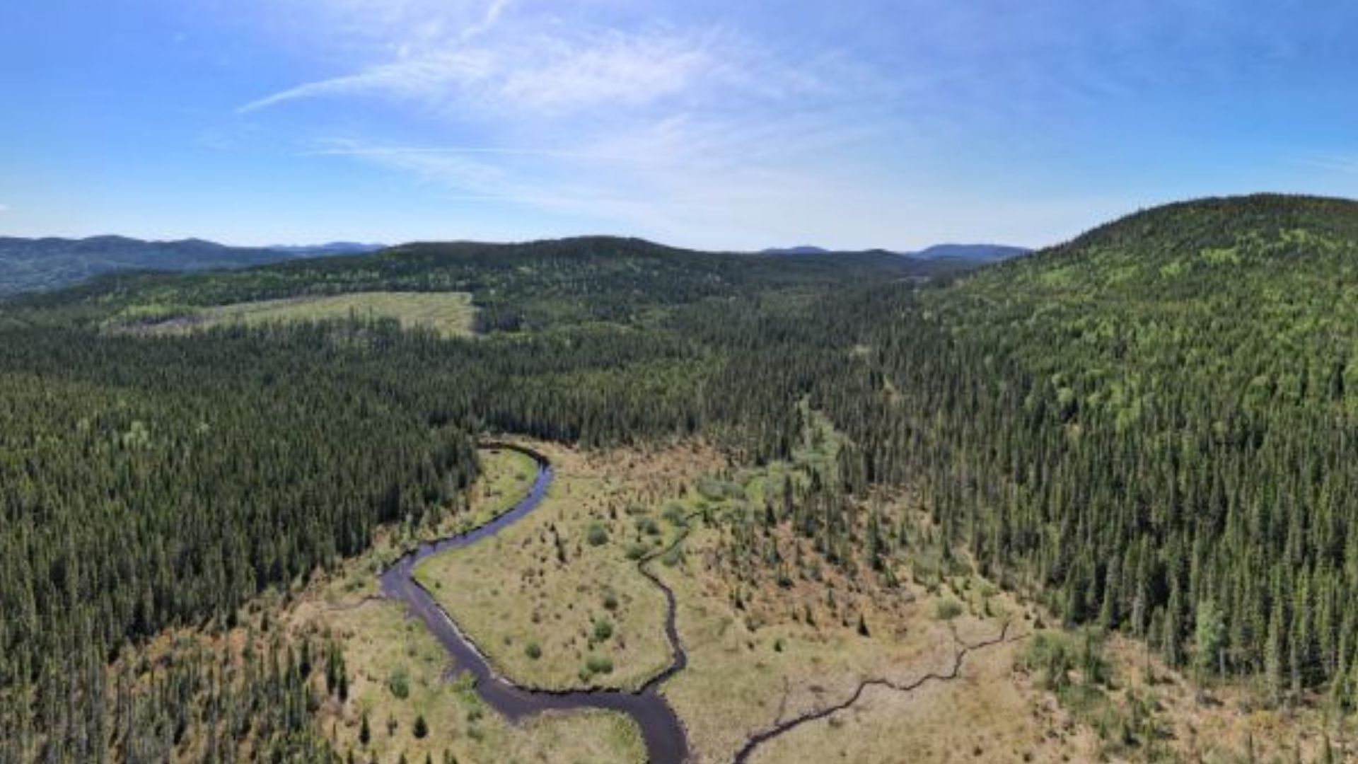 Une vue aérienne de la tourbière Joncas