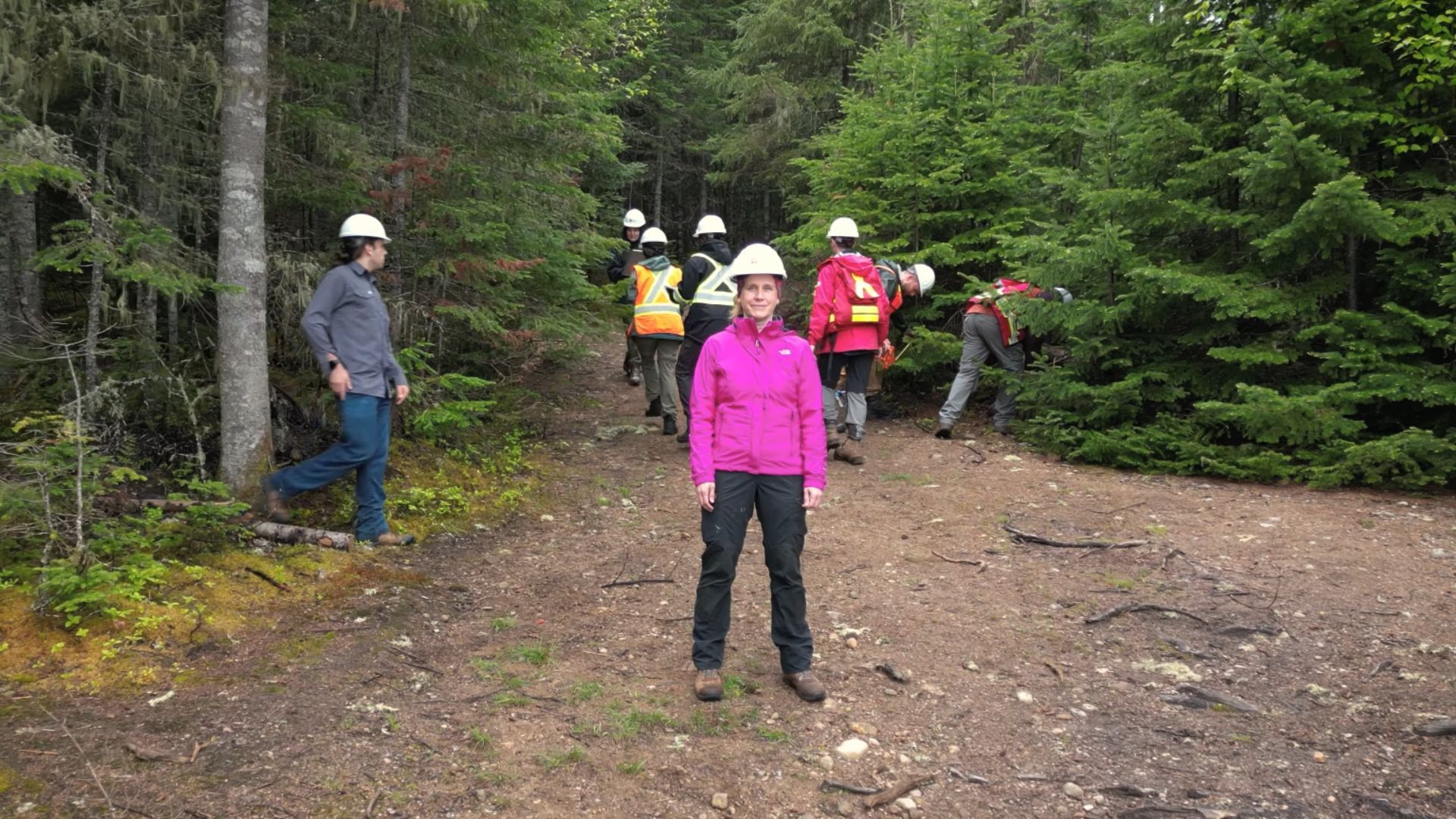 Une équipe de recherche à la Forêt Montmorency