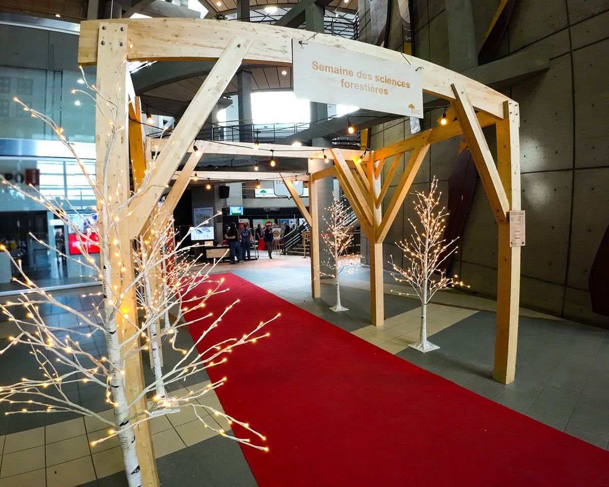 pergola et faux arbres lumineux dans un pavillon