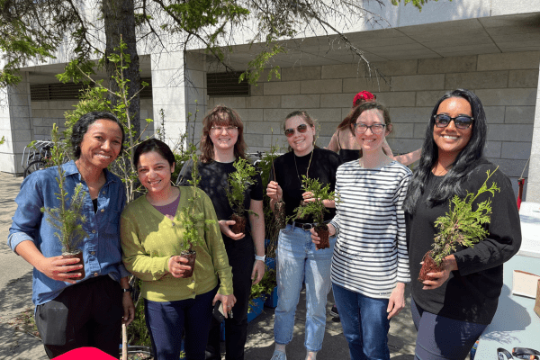 Distribution de plants d'arbres