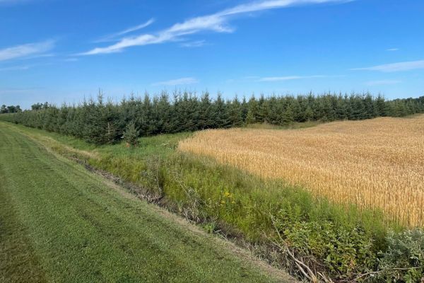 Plantation à la Station expérimentale de Saint-Louis-de-Pintendre