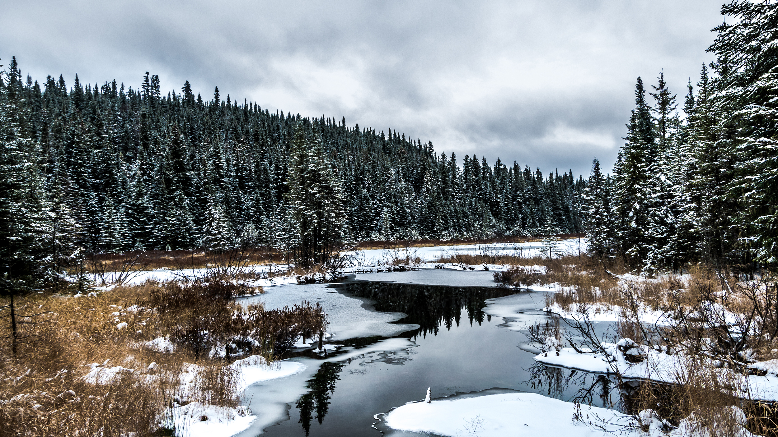 Lac de la Forêt Montmorency en hiver
