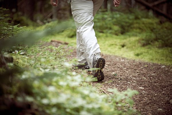 Personne qui fait de la randonnée en forêt l'été.