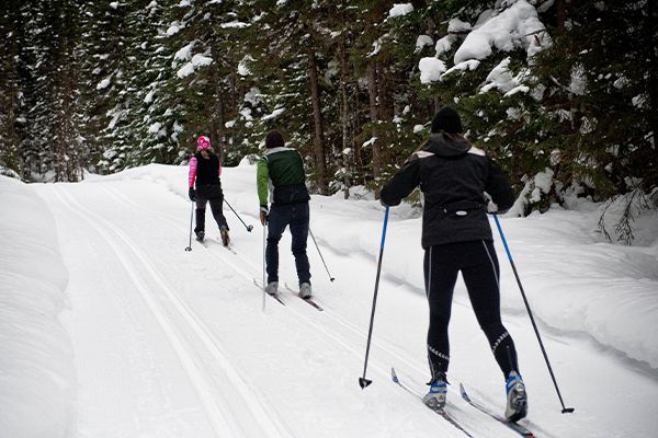 Gens qui font du ski de fond dans un sentier