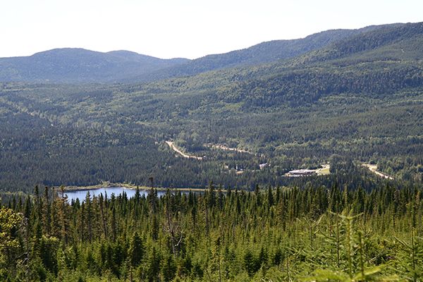 Panorama de la Forêt Montmorency en été