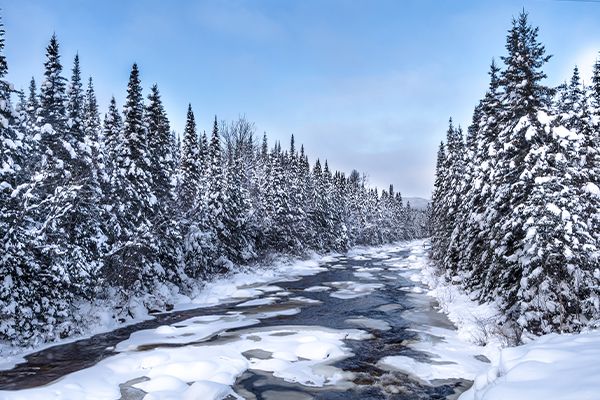 Rivière Montmorency en hiver