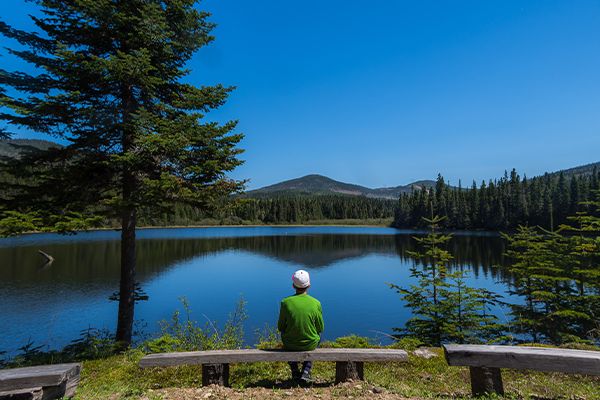 Jeune de dos devant un lac l'été