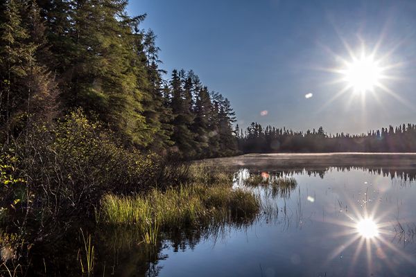 Lac en été à la Forêt Montmorency