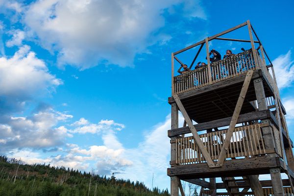 Tour d'observation avec ciel bleu