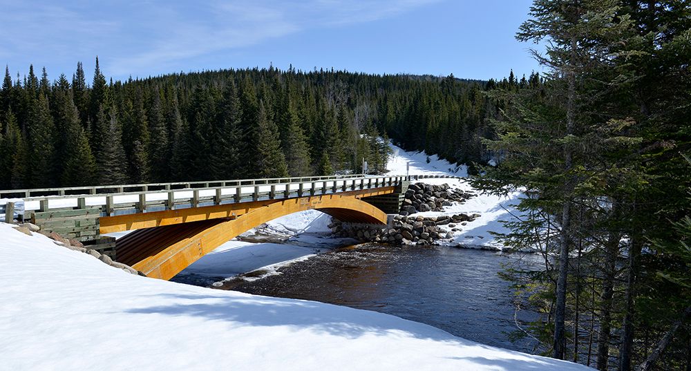 Pont de la Forêt Montmorency l'hiver