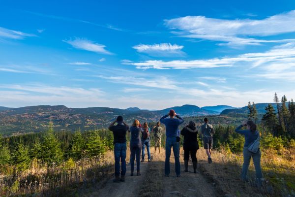 Un groupe de personnes regarde un paysage de la Forêt Montmorency 