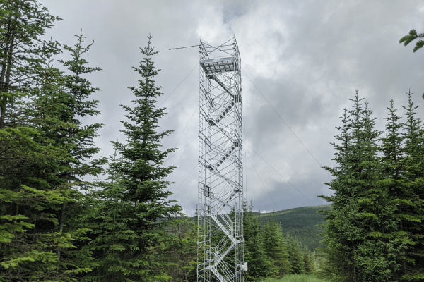 Une des tours à flux de la Forêt Montmorency
