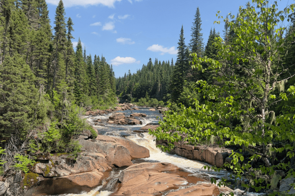 Des cascades à la Forêt Montmorency