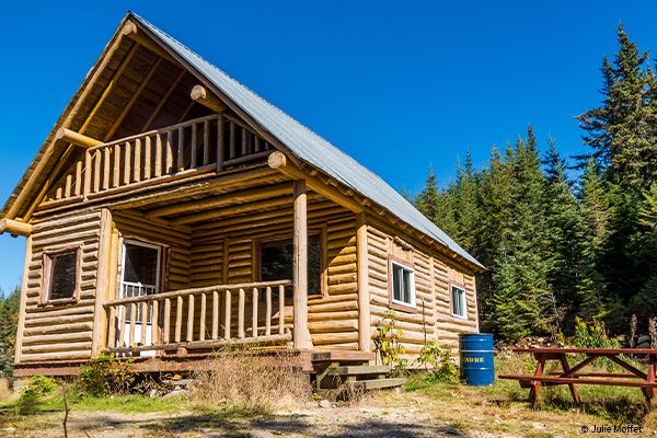 Chalet en bois rond à deux étages en pleine nature