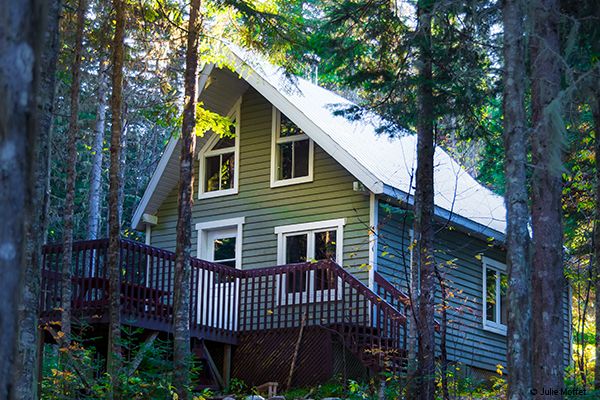 Chalet vert 2 étages en pleine forêt