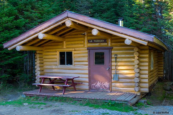 Chalet en bois rond en pleine forêt