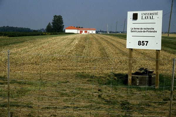Grand plan de la pancarte indiquant l'entrée de la Ferme avec vue sur des champs