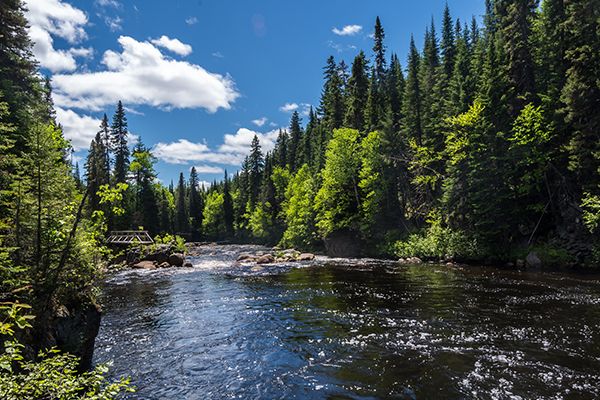 Rivière Montmorency en été