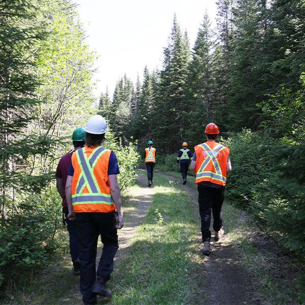 Groupe d'étudiants marchant dans un sentier forestier de dos