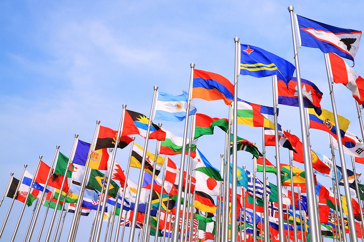 Doctorat en sciences géographiques Drapeaux de toutes les nations sur des mats à l'extérieur