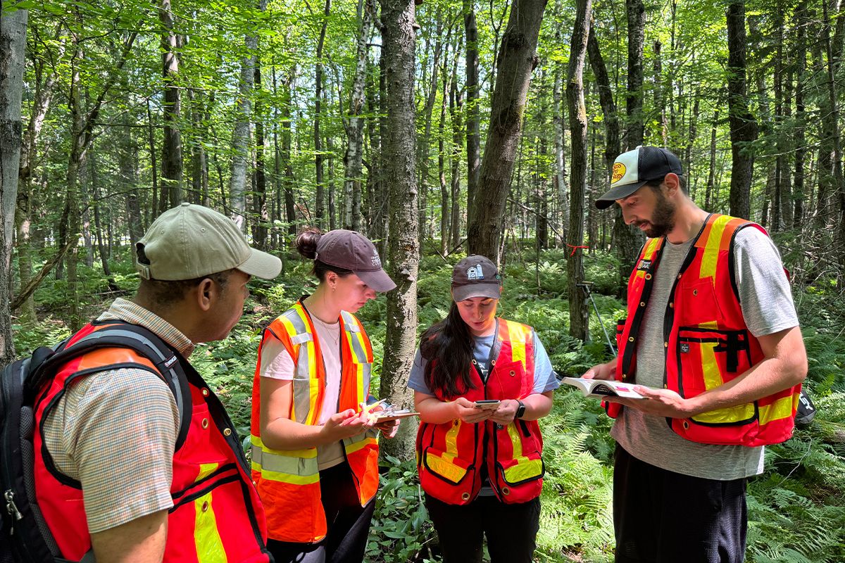 Maîtrise en biogéosciences de l'environnement Groupe d'étudiant dans la forêt qui analyse un document