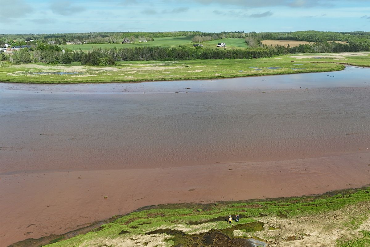 Maîtrise en géographie avec mémoire Vue panoramique d'un cours d'eau