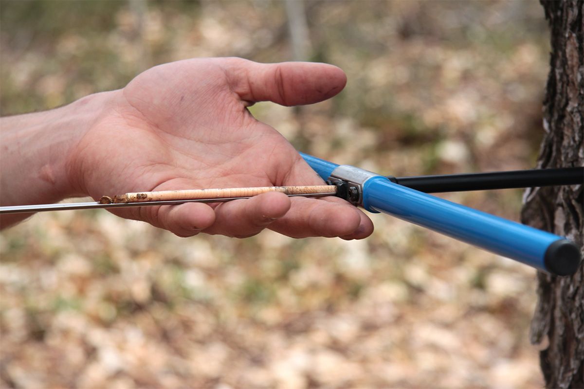 Maîtrise en sciences forestières avec mémoire Main qui tient un outil pour retirer une carotte de bois d'un arbre