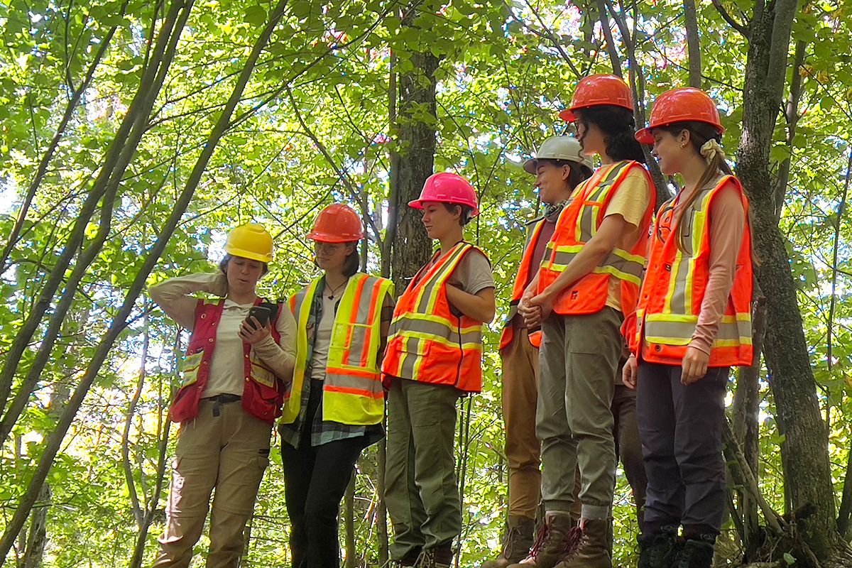 Maîtrise professionnelle en sciences forestières Groupes d'étudiantes en forêt