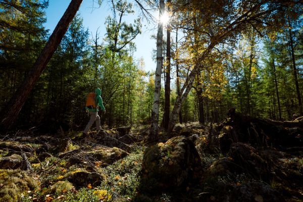 Un homme marche en forêt à l'automne