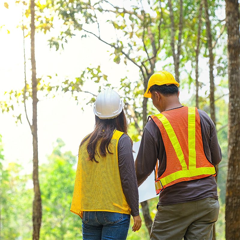 Un homme et une jeune femme de dos dans la forêt consultent un document