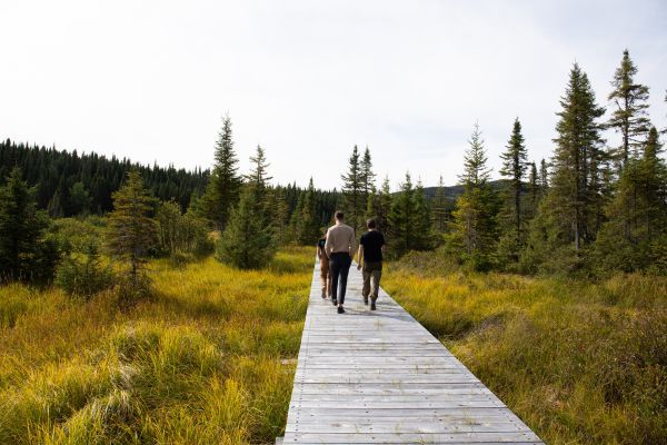 Des personnes sur le sentier de la tourbière Joncas à la Forêt Montmorency