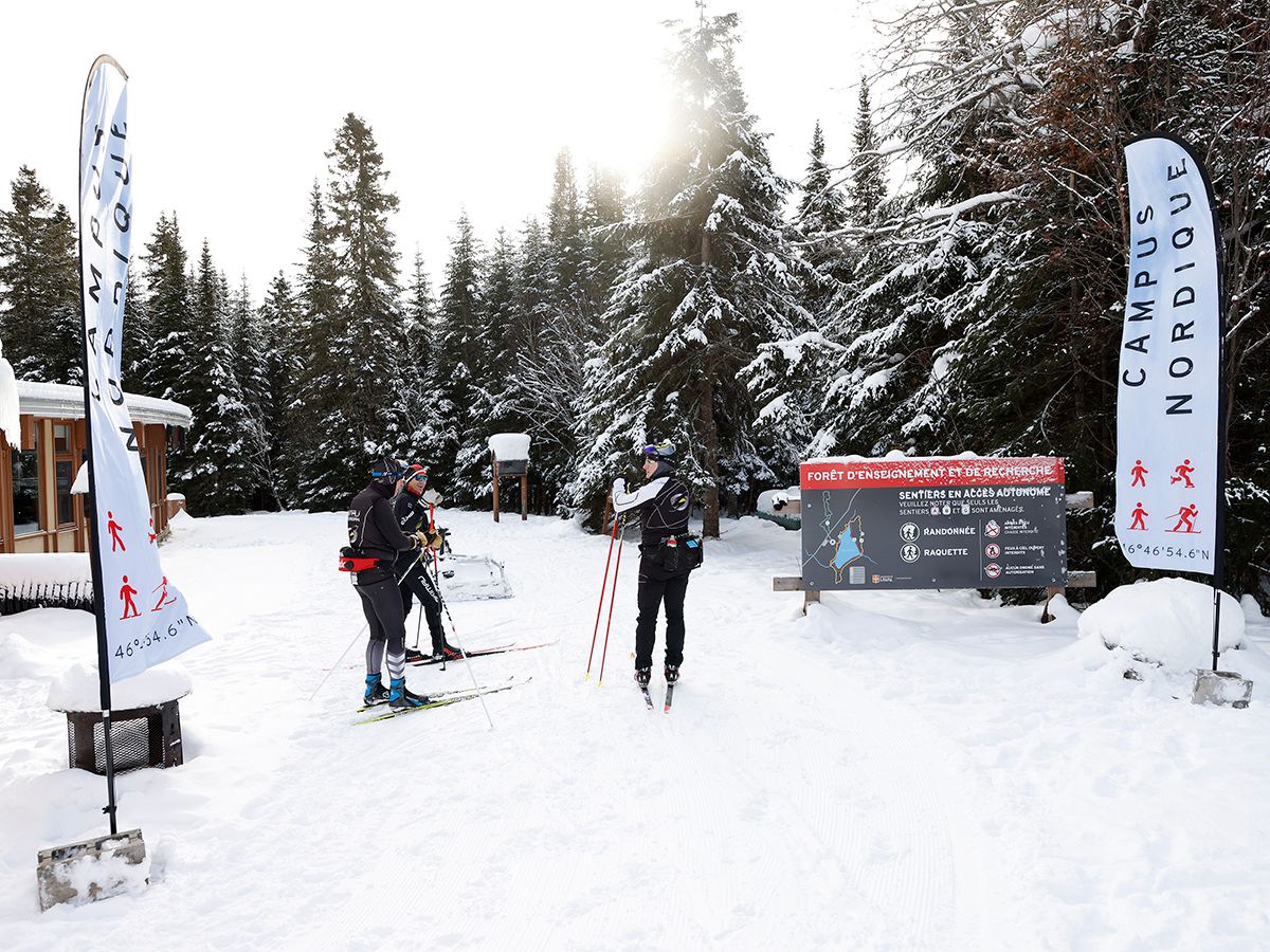 Gens proche de la forêt hivernale qui discutent