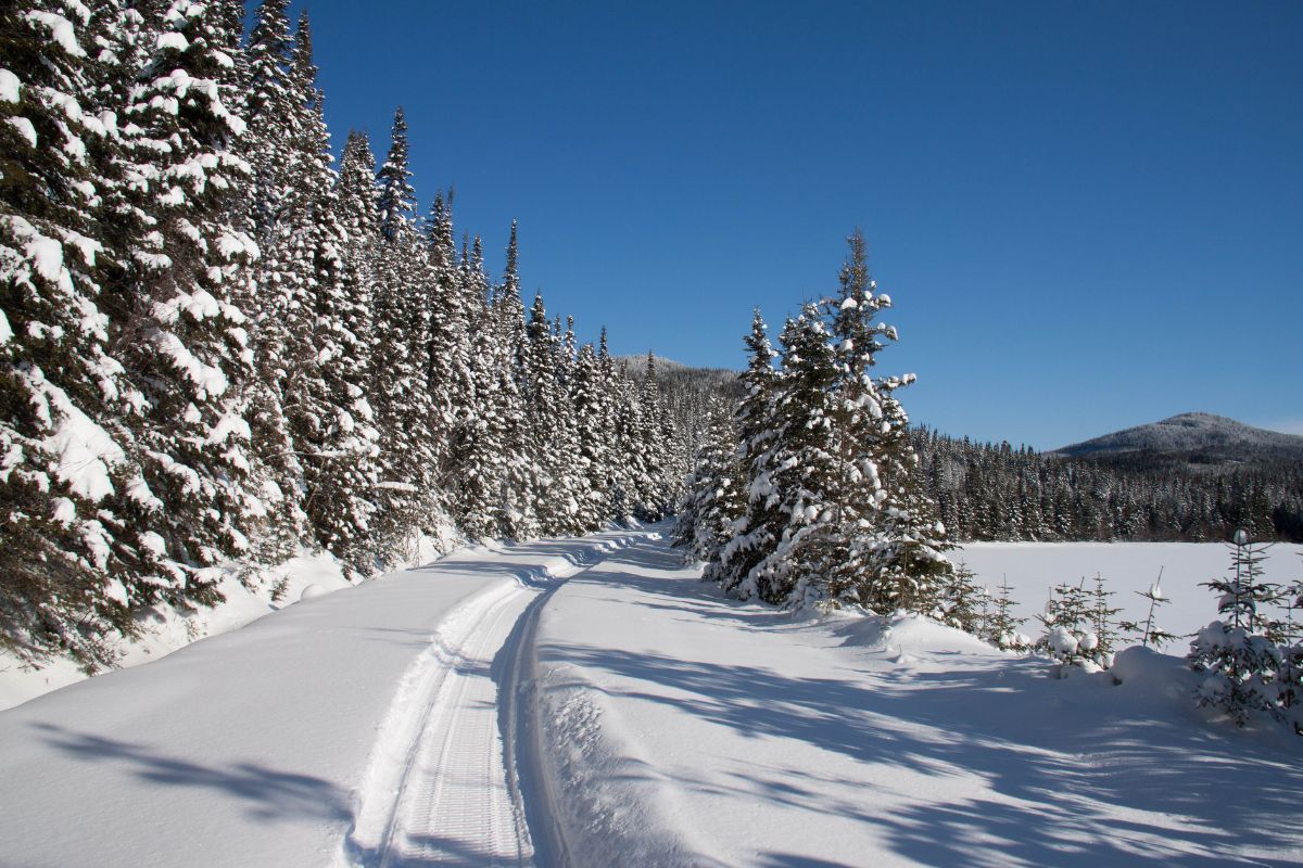 Un chemin traverse la Forêt Montmonrency en hiver