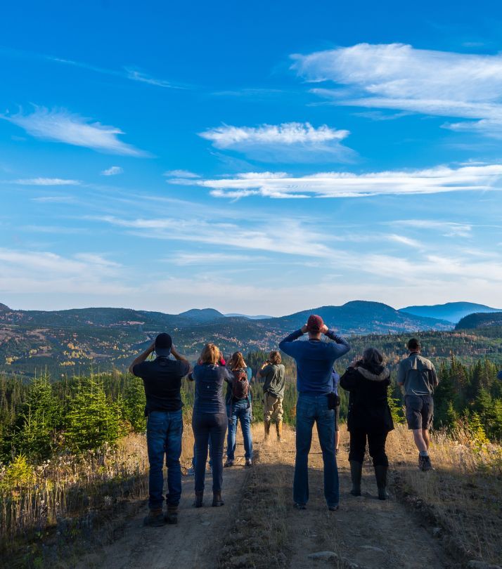 Des personnes regardent un paysage de la Forêt Montmorency avec des jumelles