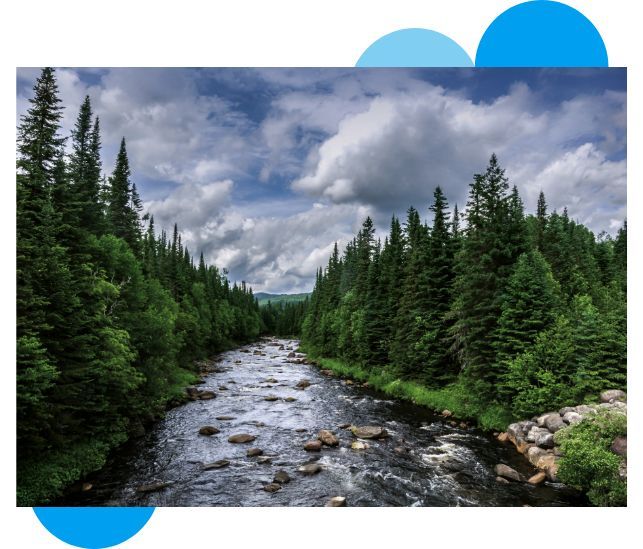 La rivière Montmorency en été à la Forêt Montmorency 