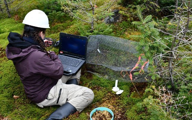 Une personne de l'équipe de Team Carbone lors d'une visite à la Forêt Montmorency