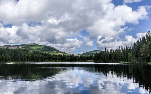 Un lac en été à la Forêt Montmorency