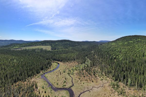 La tourbière Joncas vue par drone